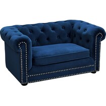 samson blue pet furniture   