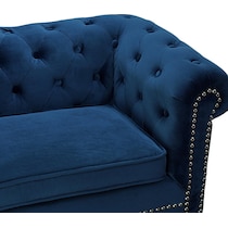 samson blue pet furniture   