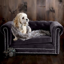 samson gray pet furniture   