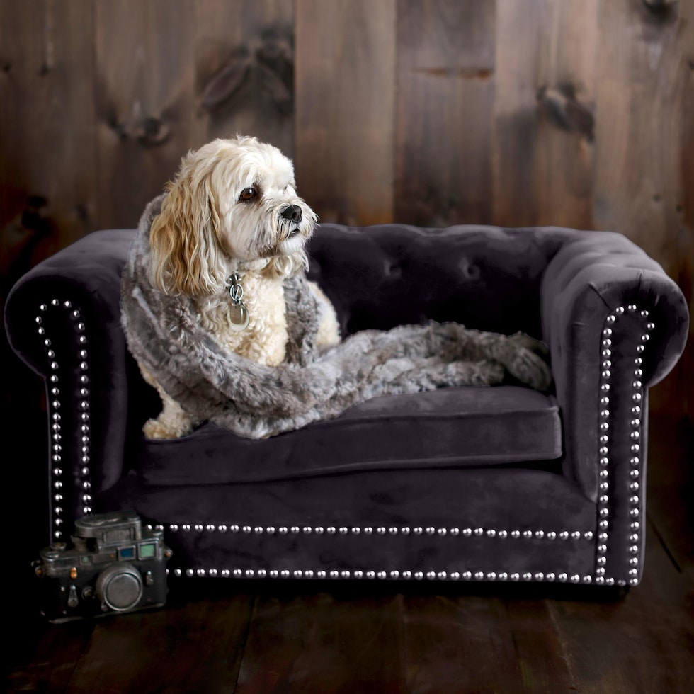 samson gray pet furniture   