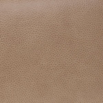 sand swatch  