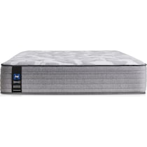 sealy dantley gray queen mattress   