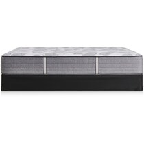 sealy dantley gray queen mattress foundation set   