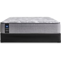 sealy dantley gray twin mattress foundation set   