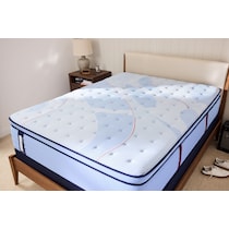sealy® elmsford blue full mattress   