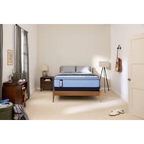 sealy® elmsford blue king mattress   