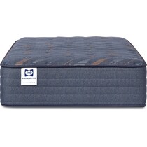 sealy® weston lane blue twin xl mattress   