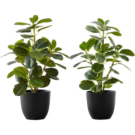Set of 2 Faux 1' Ficus Tree with Black Planters