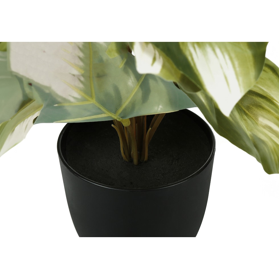 set black faux plant   