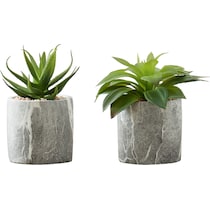 set gray faux plant   