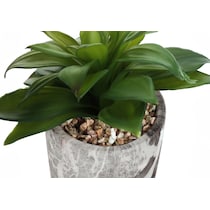 set gray faux plant   