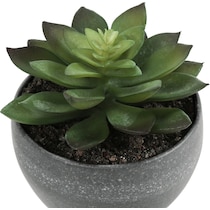 set gray faux plant   