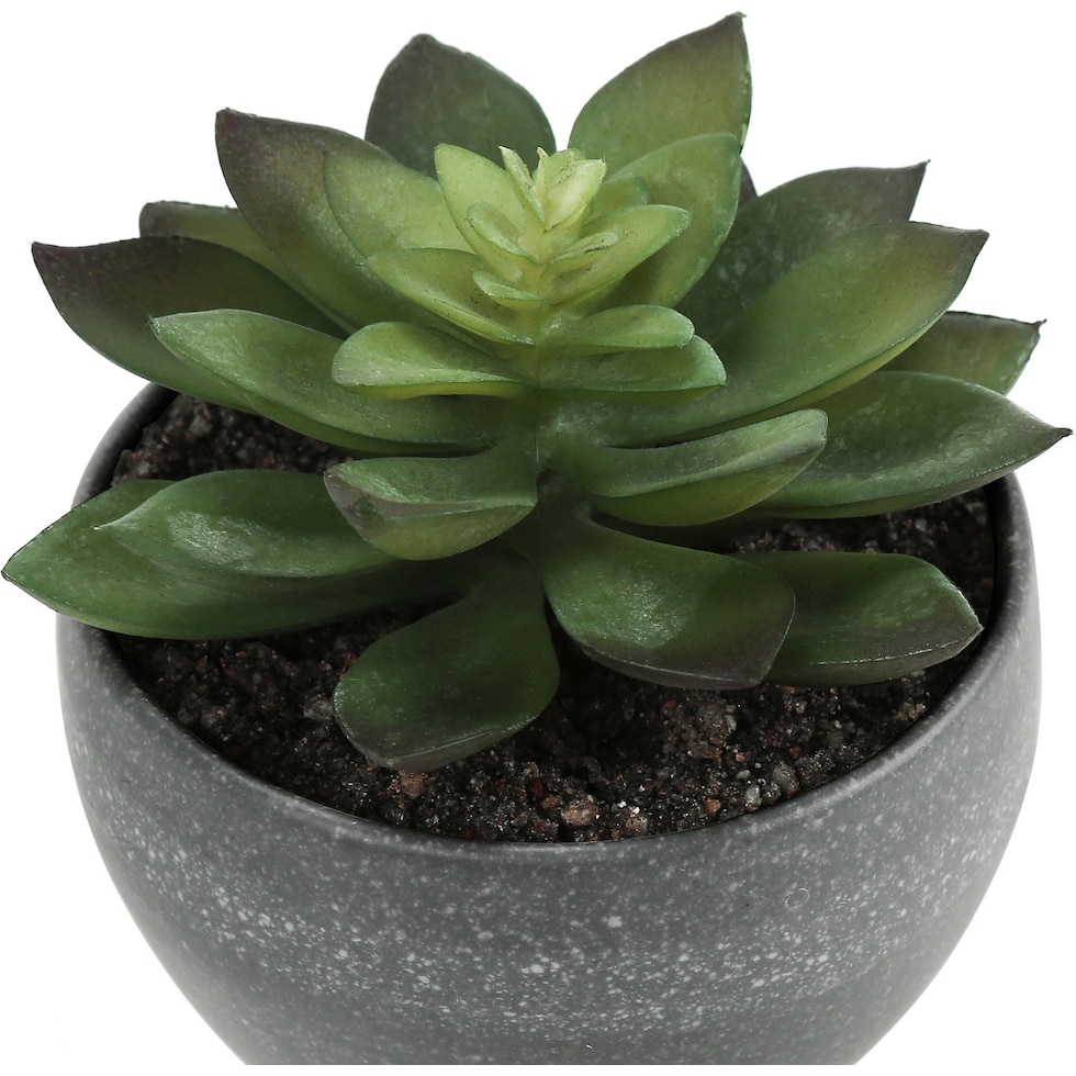 set gray faux plant   