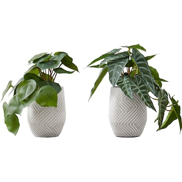 Set of 2 Faux Alocasia with White Planters