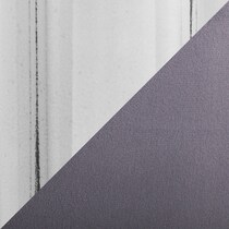 silver swatch  