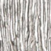silver swatch  