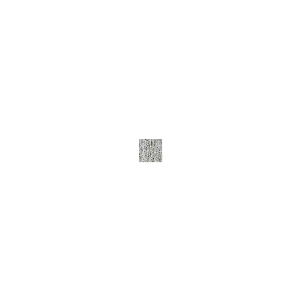 silver swatch  