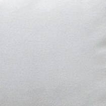 silver swatch  