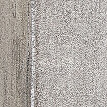 silver swatch  