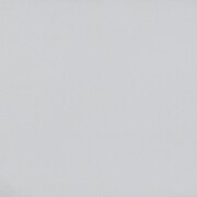 silver swatch  