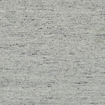 silver swatch  