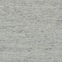 silver swatch  
