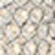 silver swatch  