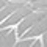 silver swatch  