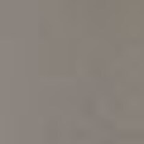 silver swatch  