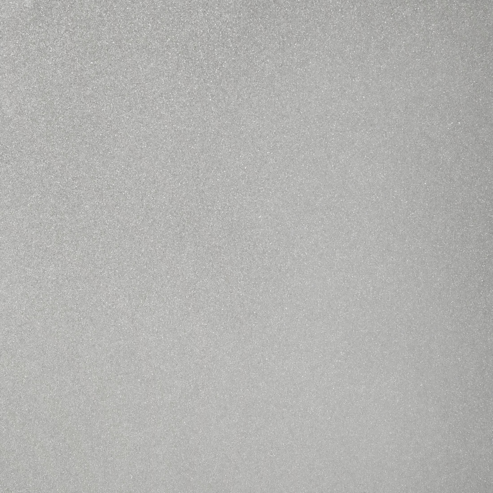 silver swatch  