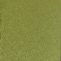 solstice outdoor green outdoor chair   