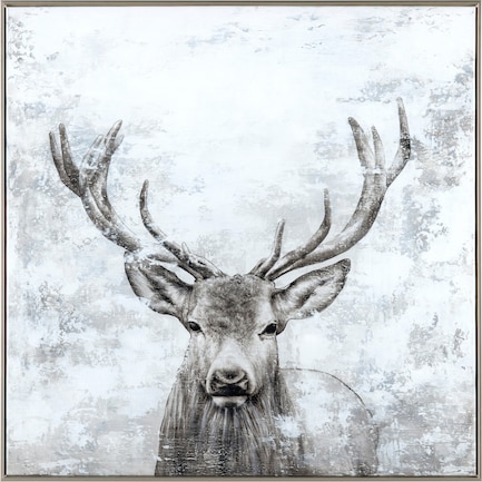 Stoic Stare Wall Art