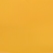 tangerine swatch  