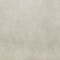 taupe swatch  