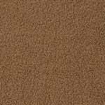 texel caramel swatch  