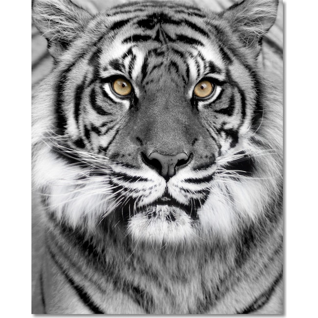 Home Accessories - Tiger on Glass Wall Art