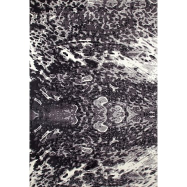 Titanium Area Rug - Dark Gray