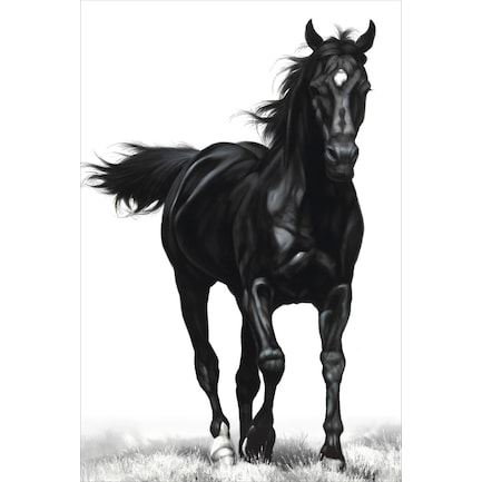 Unbridled Wall Art