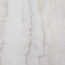 white marble black legs swatch  