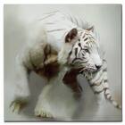 White Tiger Canvas Print