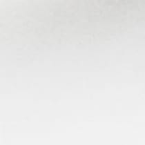 white swatch  