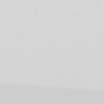 white swatch  