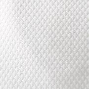 white swatch  