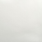white swatch  