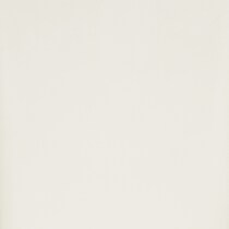 white swatch  
