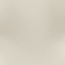 white swatch  