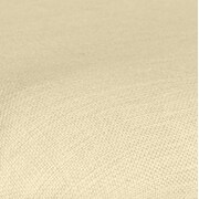 Westerly Outdoor Dining Chair - Cream