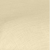 white swatch  