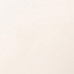 white swatch  