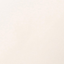 white swatch  